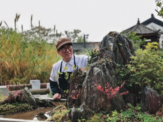 常州孟河斧劈石盆景园图片